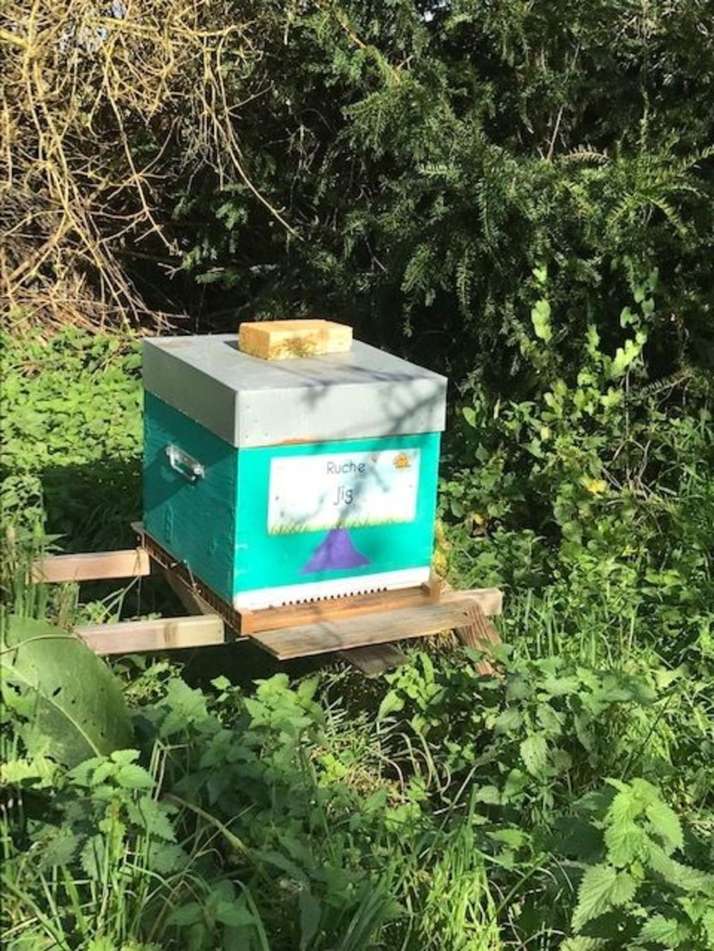 La ruche Jig