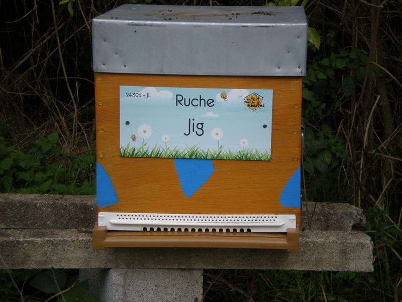 La ruche Jig