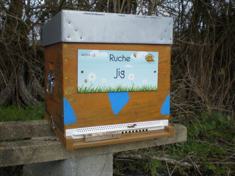 La ruche Jig