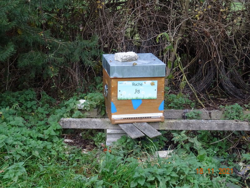La ruche Jig