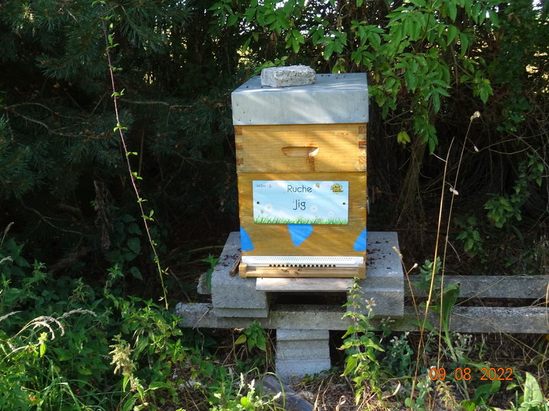 La ruche Jig