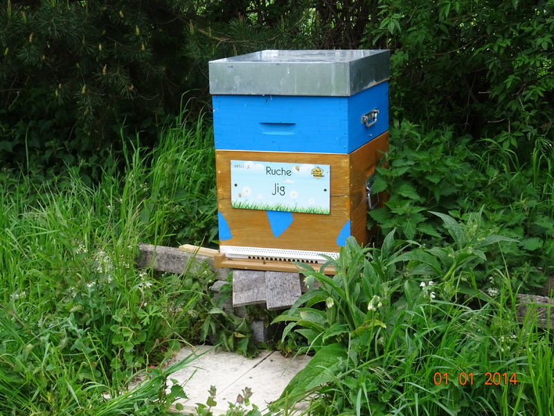 La ruche Jig
