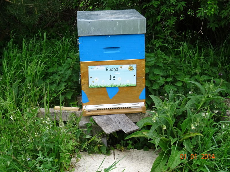 La ruche Jig