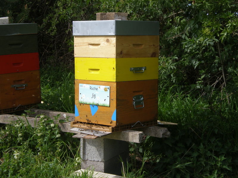 La ruche Jig