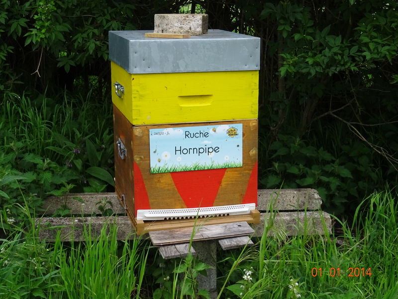 La ruche Hornpipe