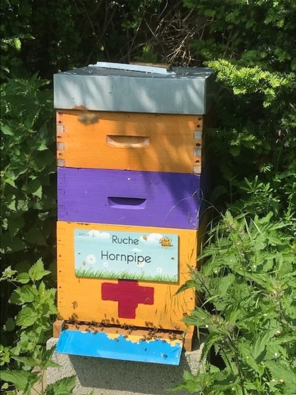 La ruche Hornpipe