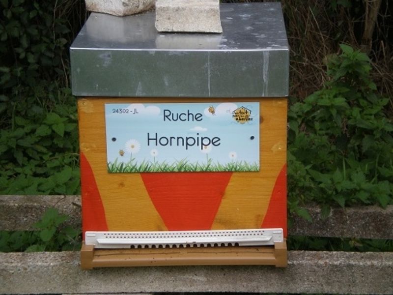 La ruche Hornpipe