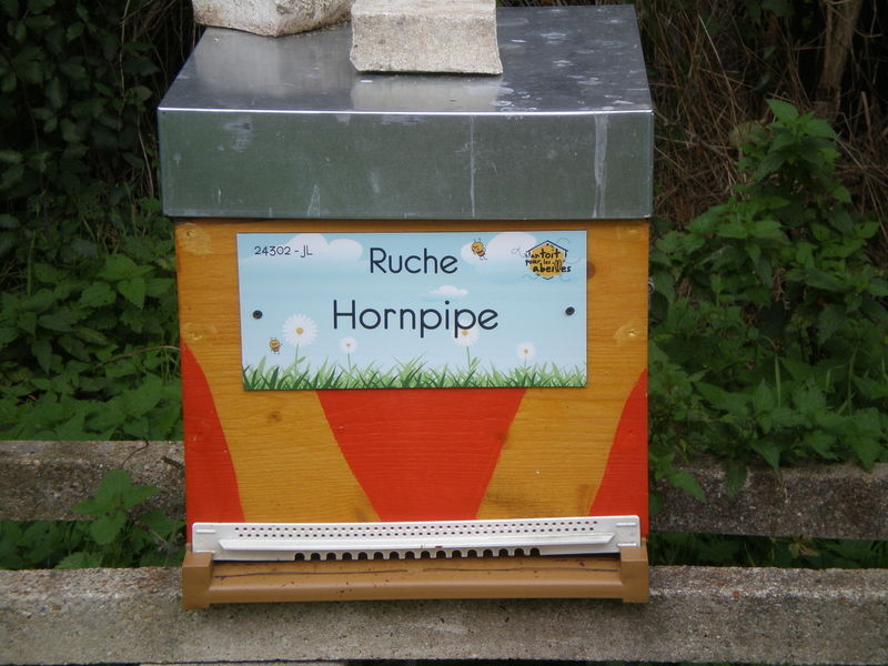 La ruche Hornpipe