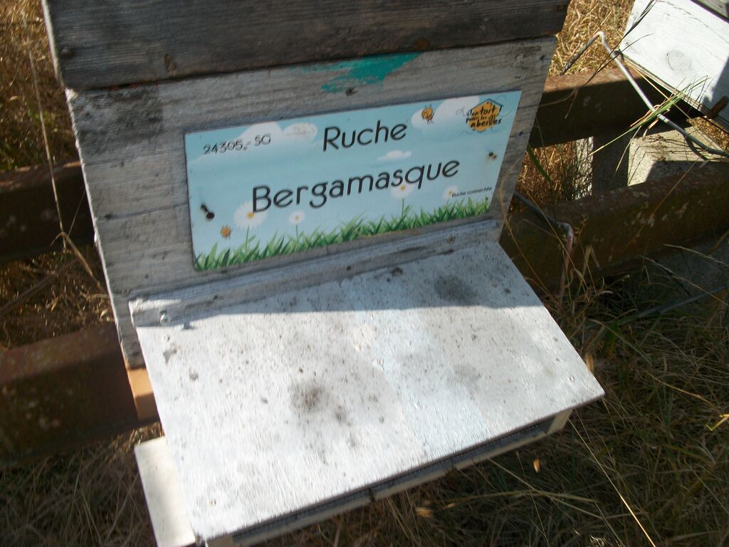 La ruche Bergamasque