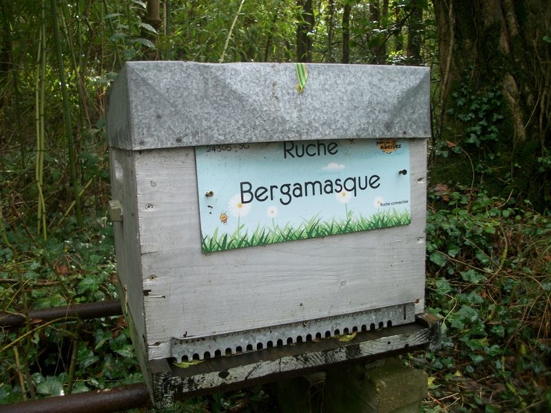 La ruche Bergamasque