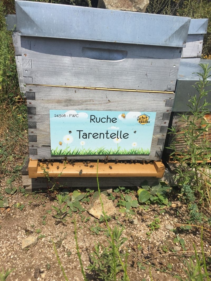 La ruche Tarentelle