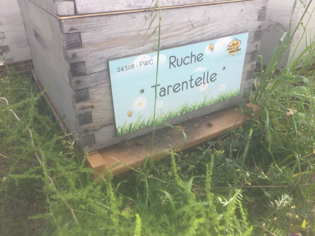 La ruche Tarentelle
