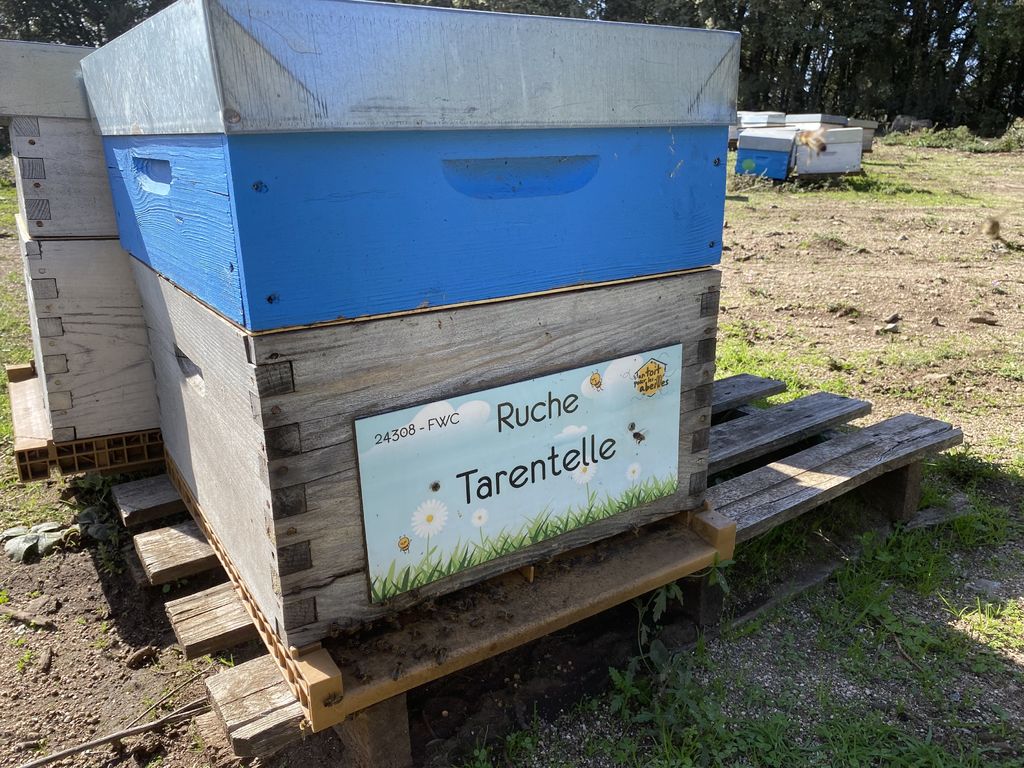 La ruche Tarentelle
