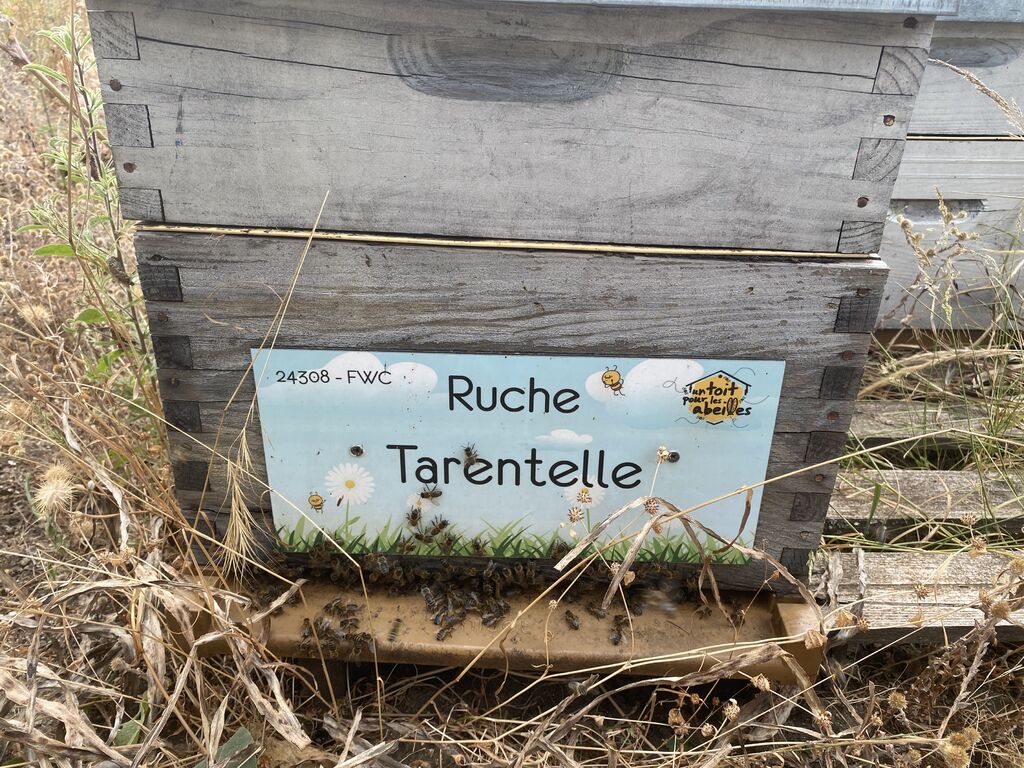 La ruche Tarentelle