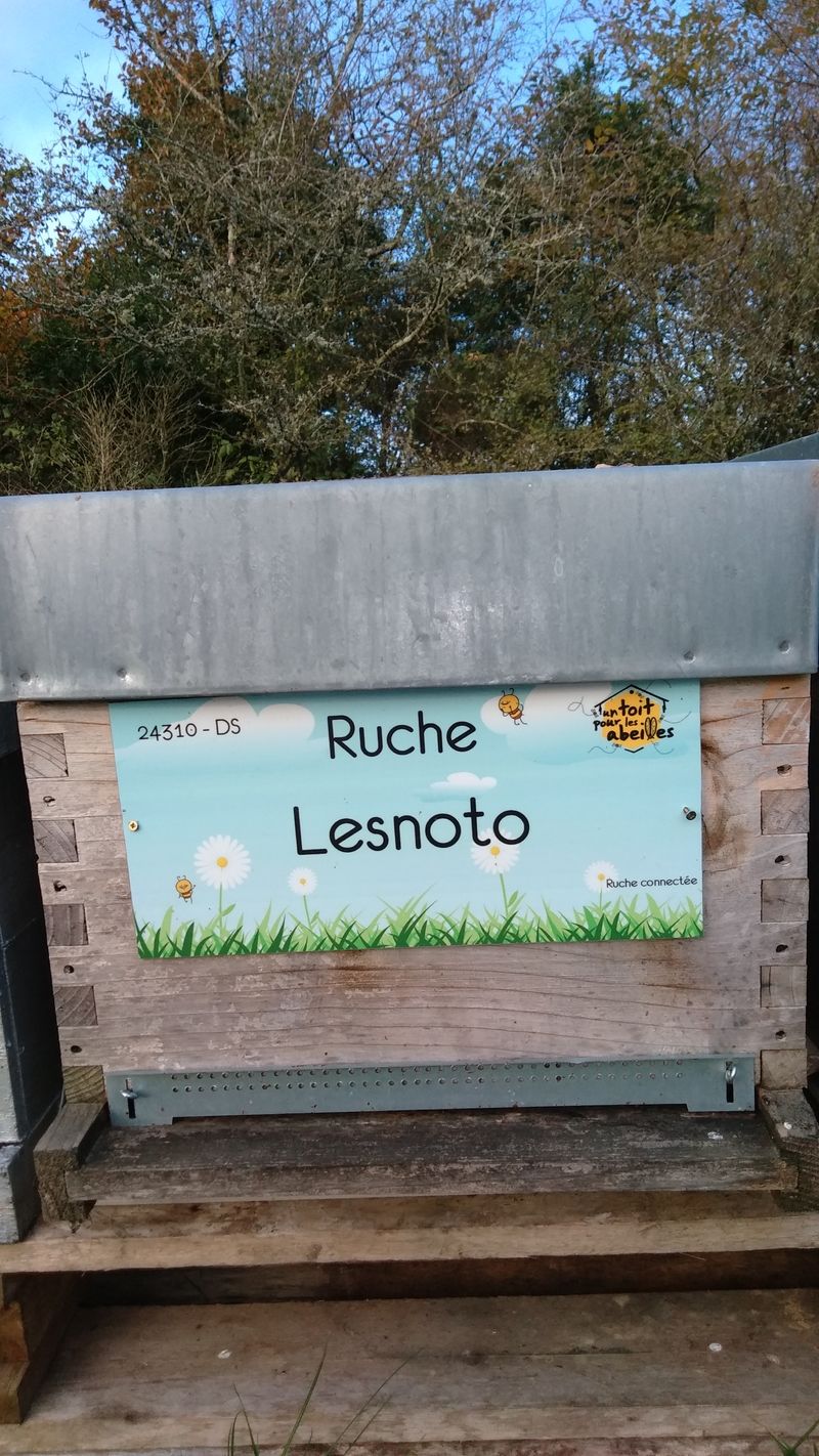 La ruche Lesnoto