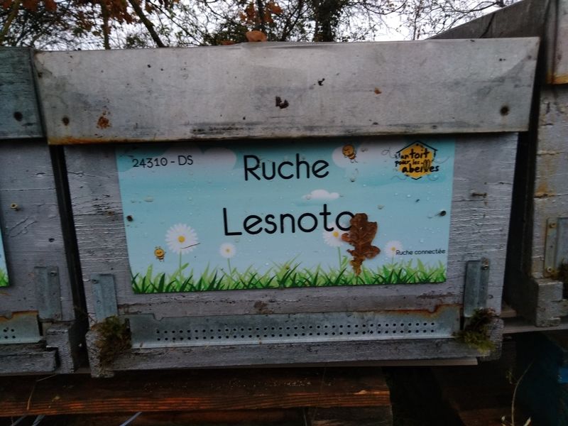La ruche