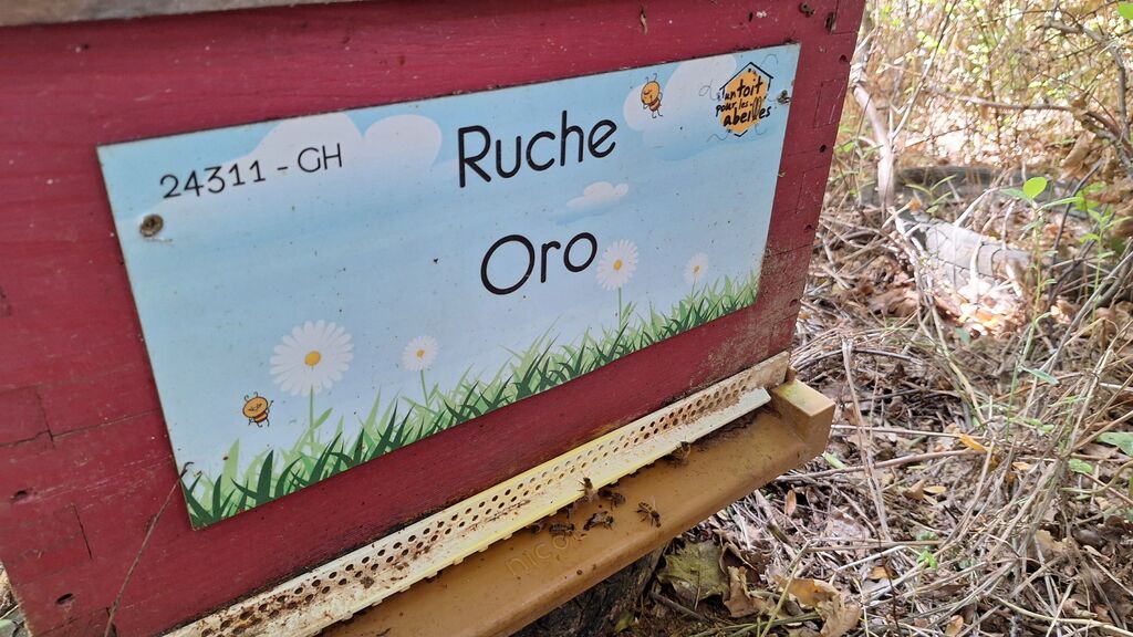 La ruche Oro