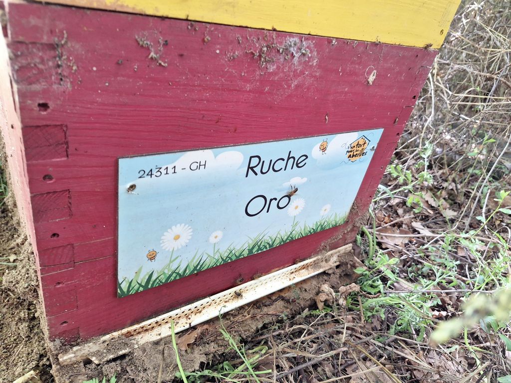La ruche Oro