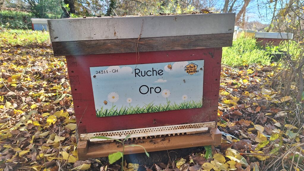 La ruche Oro