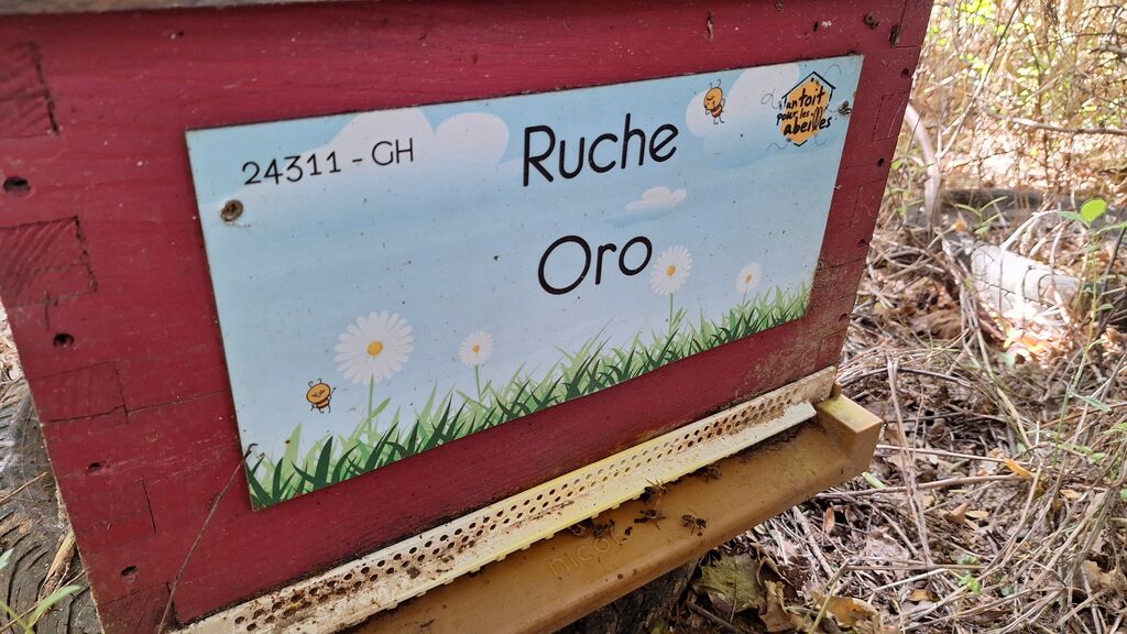 La ruche Oro