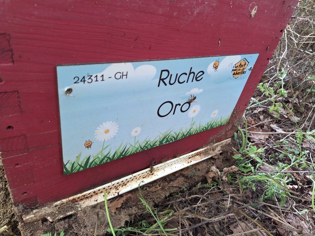 La ruche Oro