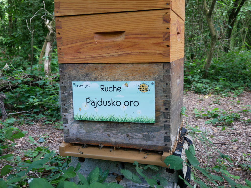 La ruche Pajdusko oro