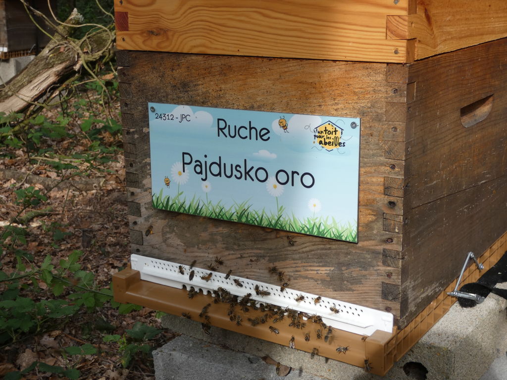 La ruche
