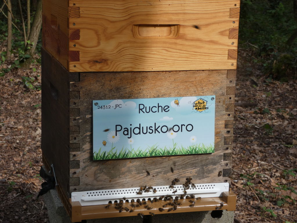 La ruche Pajdusko oro