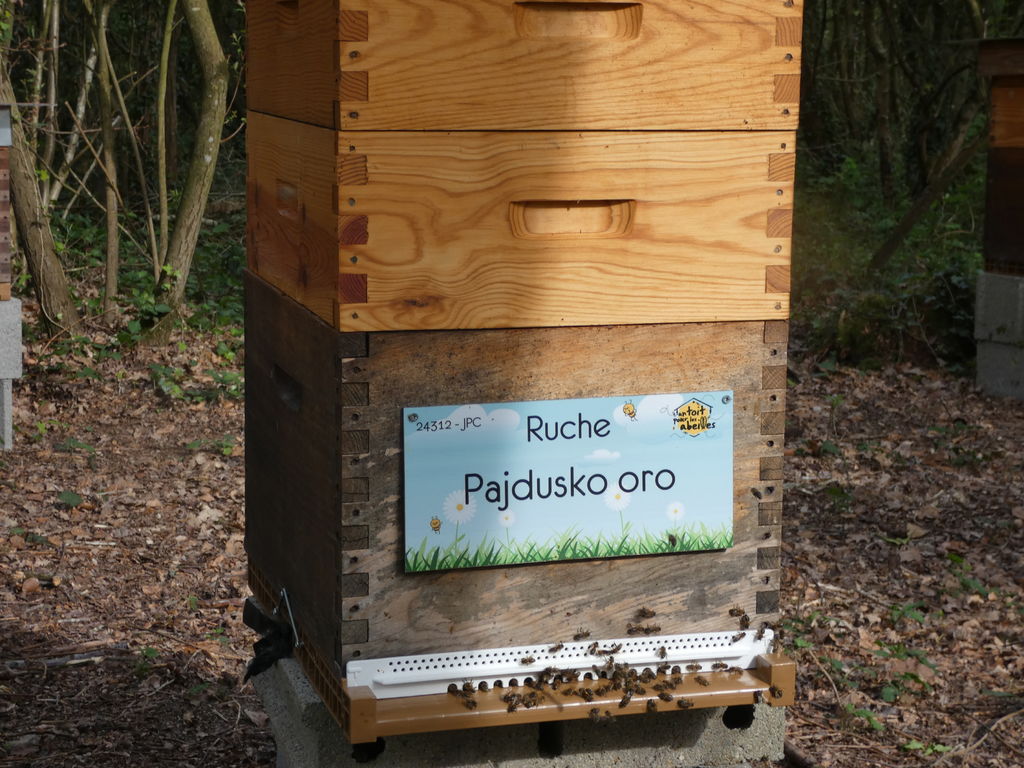 La ruche Pajdusko oro