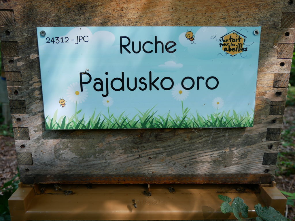 La ruche Pajdusko oro