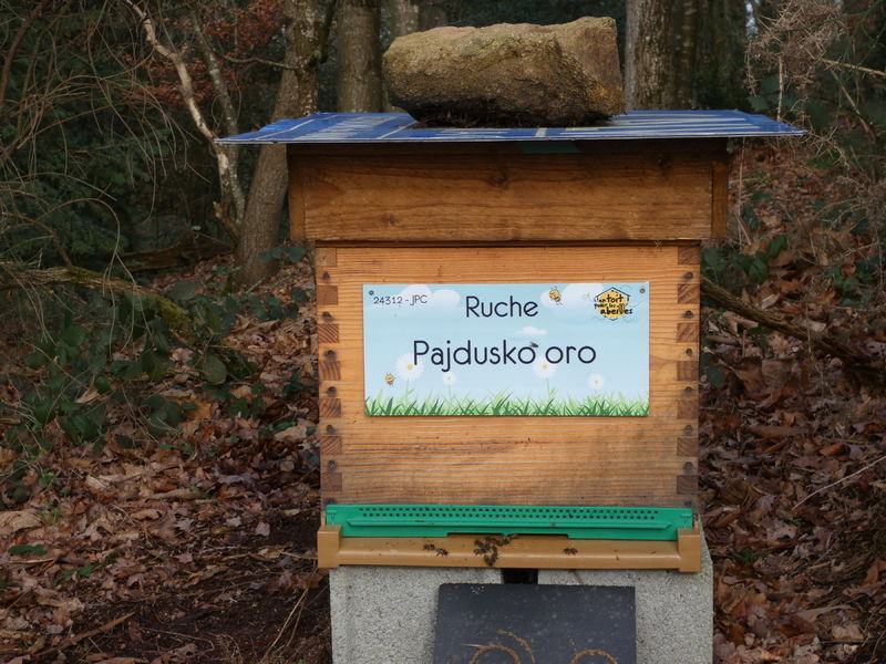 La ruche Pajdusko oro