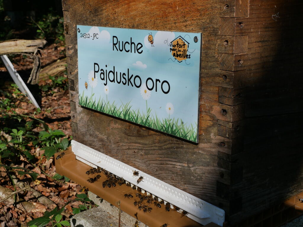 La ruche Pajdusko oro