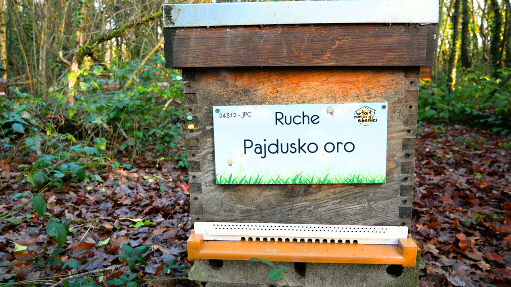 La ruche Pajdusko oro