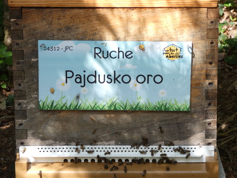 La ruche Pajdusko oro