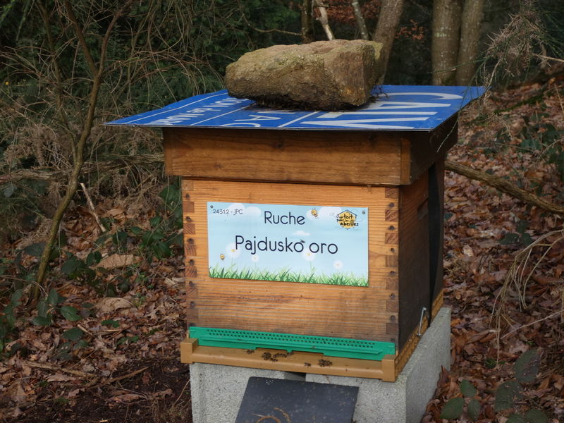 La ruche Pajdusko oro