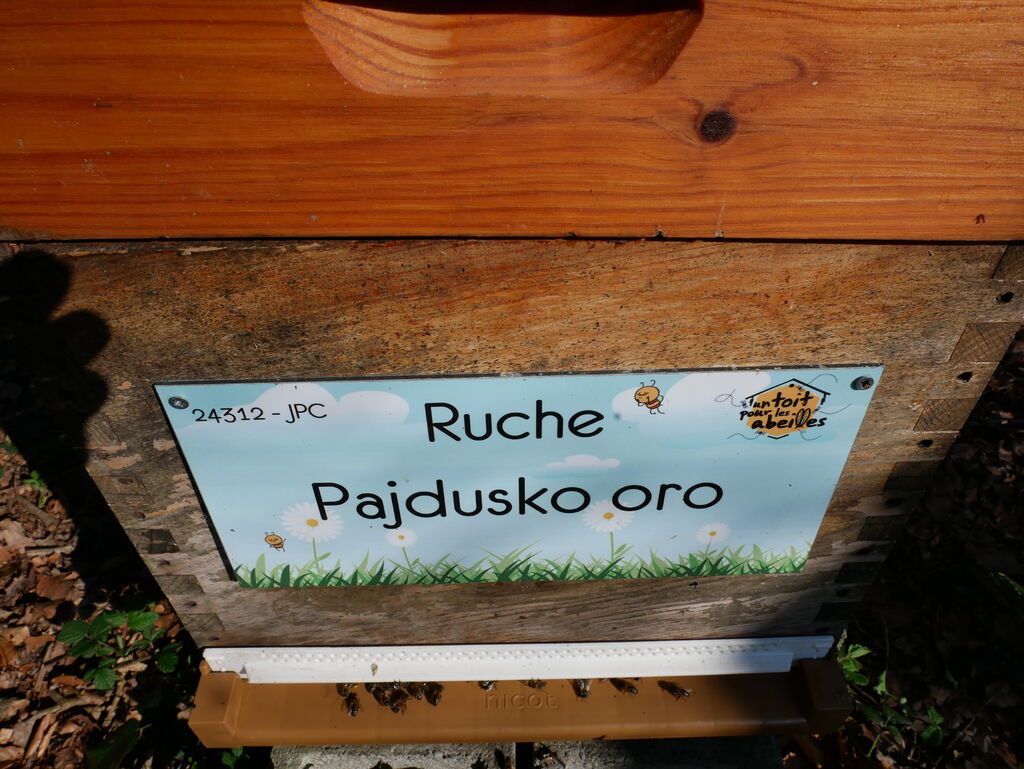 La ruche Pajdusko oro