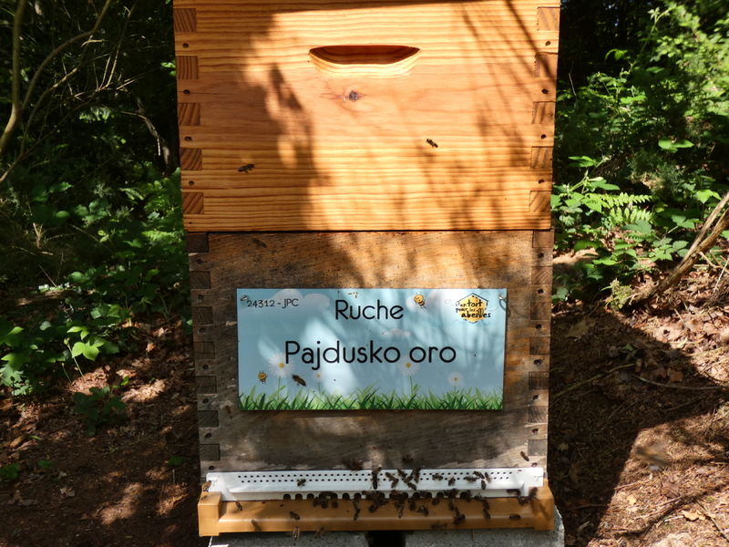 La ruche Pajdusko oro