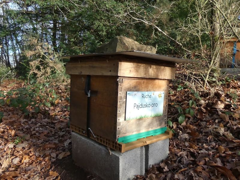 La ruche Pajdusko oro