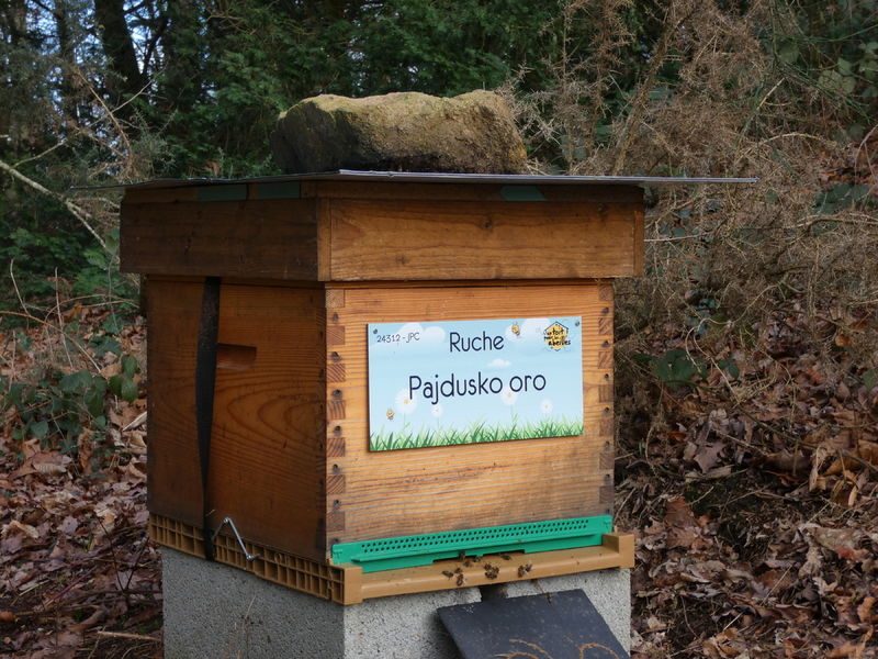 La ruche Pajdusko oro