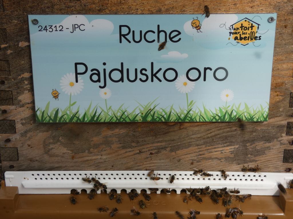 La ruche Pajdusko oro