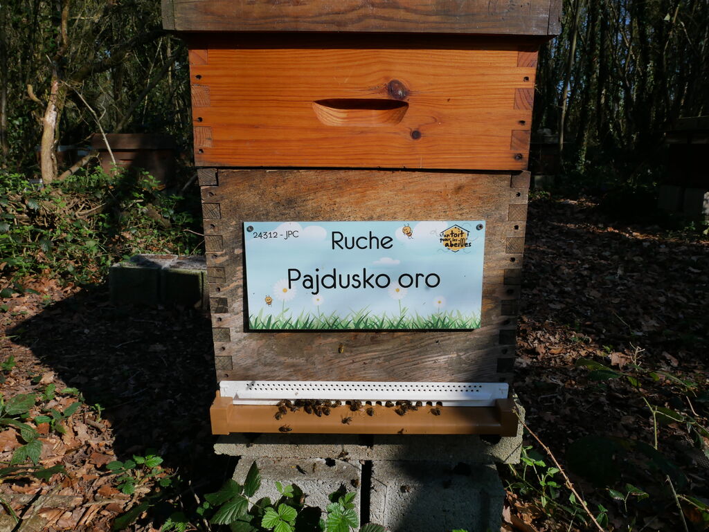 La ruche Pajdusko oro