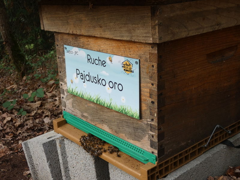 La ruche Pajdusko oro