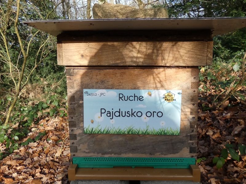 La ruche Pajdusko oro