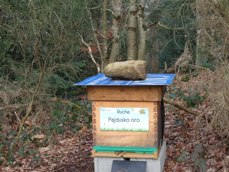 La ruche Pajdusko oro