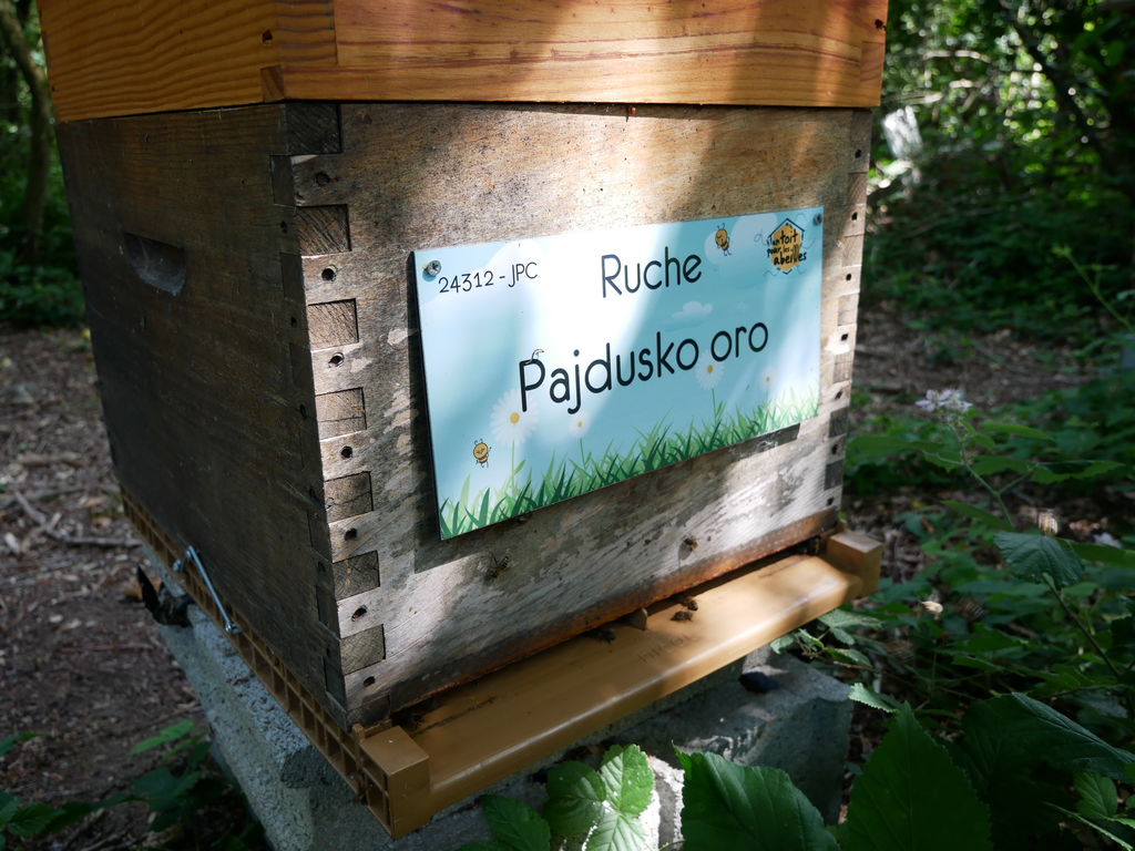 La ruche Pajdusko oro