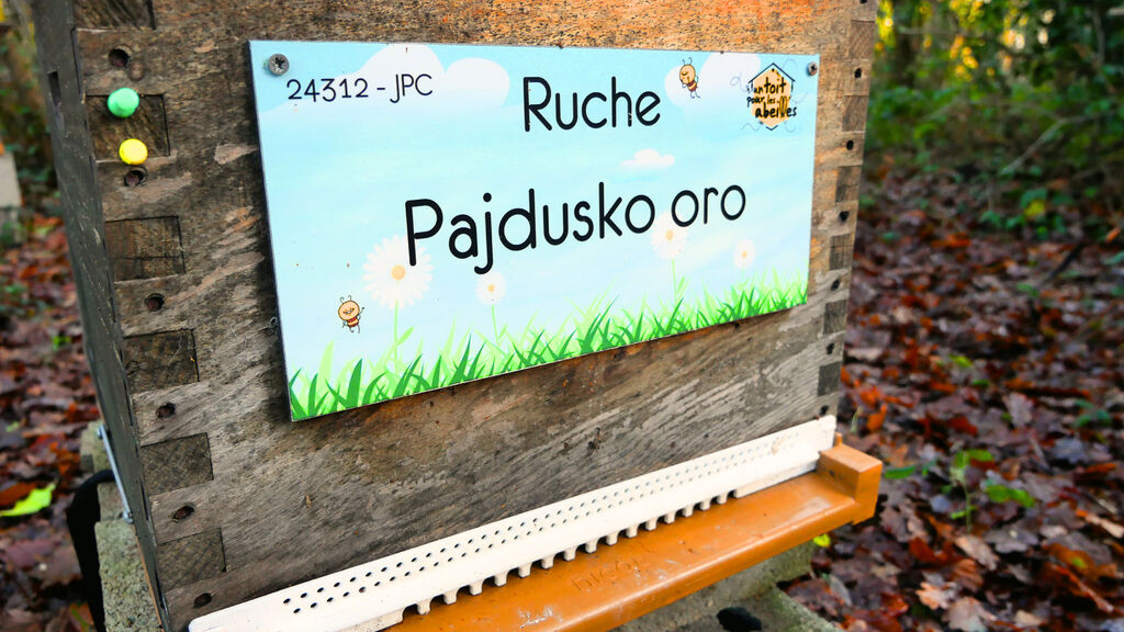 La ruche Pajdusko oro