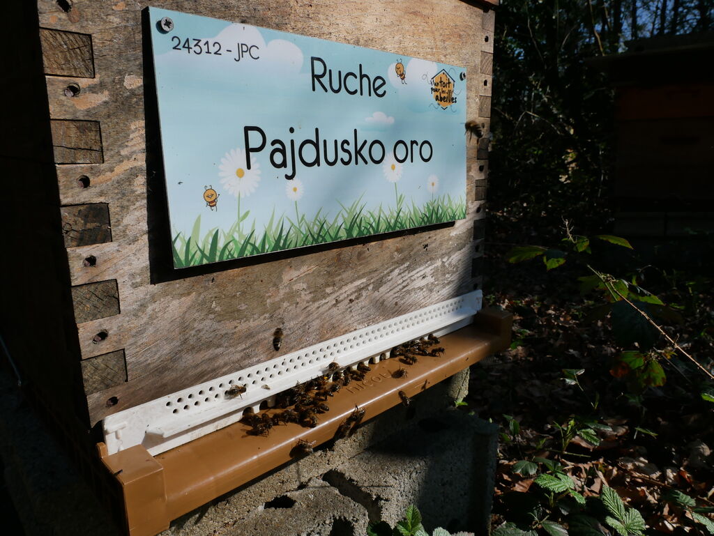 La ruche Pajdusko oro