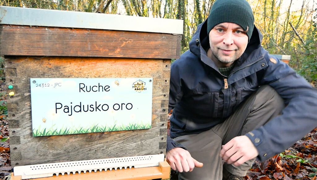 La ruche Pajdusko oro