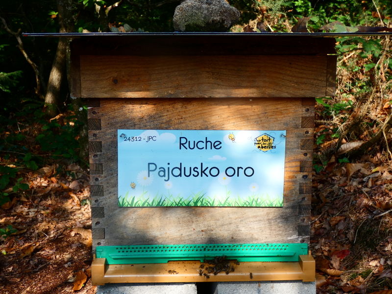 La ruche Pajdusko oro