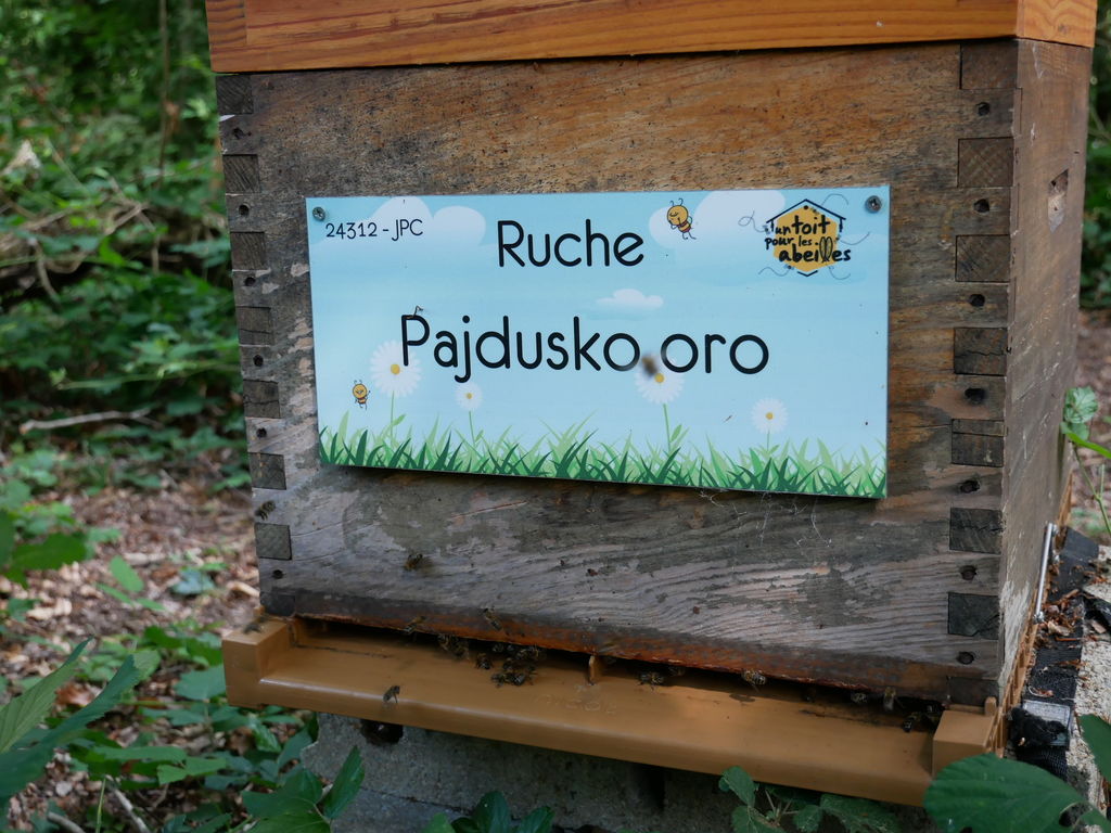 La ruche Pajdusko oro